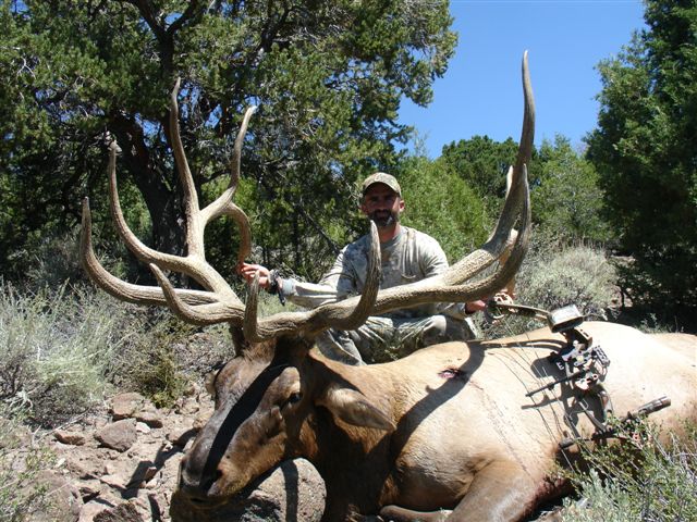 Plateau Boulder, Utah Early Rifle Elk Tag