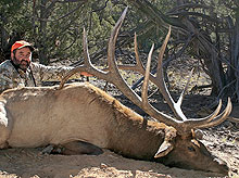 Plateau Boulder, Utah Early Rifle Elk Tag