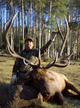 Plateau Boulder, Utah Early Rifle Elk Tag