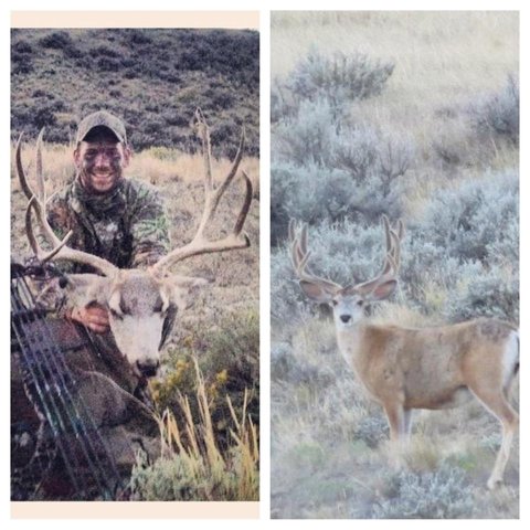 Re: NE Wyoming muledeer scouting pics