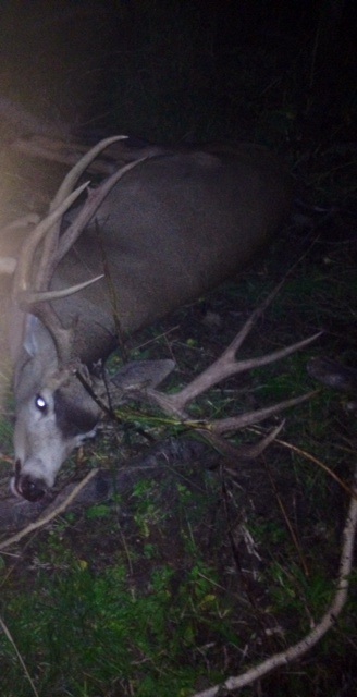 First time muzzleloader success for father and son.