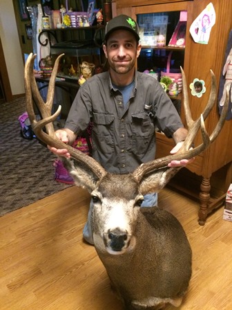 Colorado Mule Deer Back From The Taxidermist!