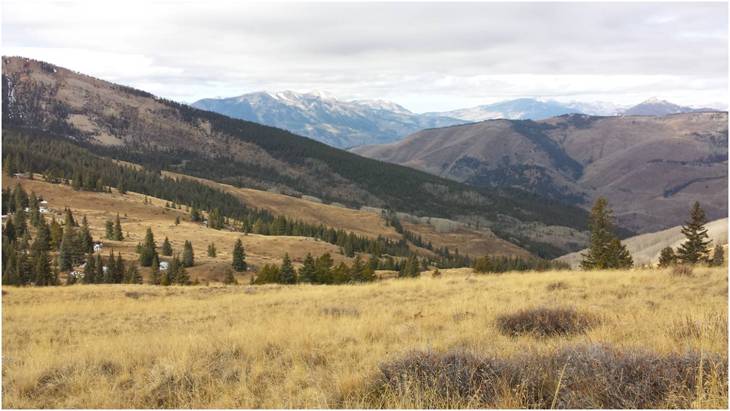 Colorado OTC Bull Elk Hunt