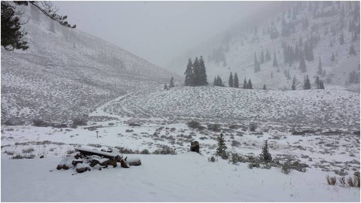 Colorado OTC Bull Elk Hunt