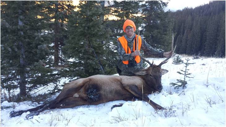 Colorado OTC Bull Elk Hunt