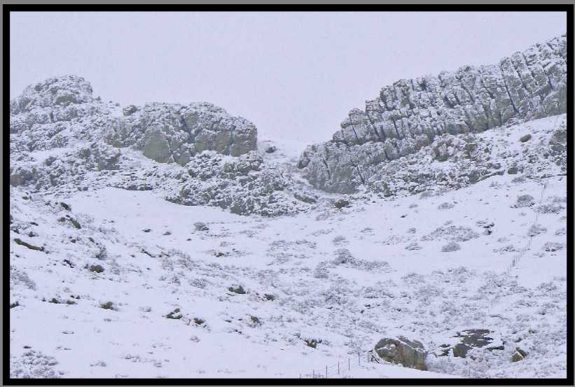 Colorado Snow Scenery