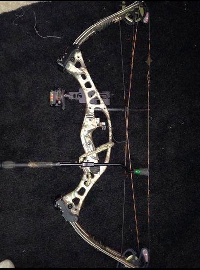 2008 Hoyt Avenger Bow