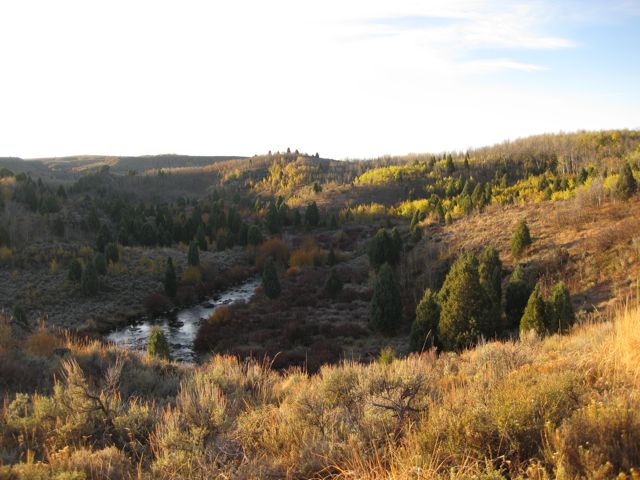 Idaho morning