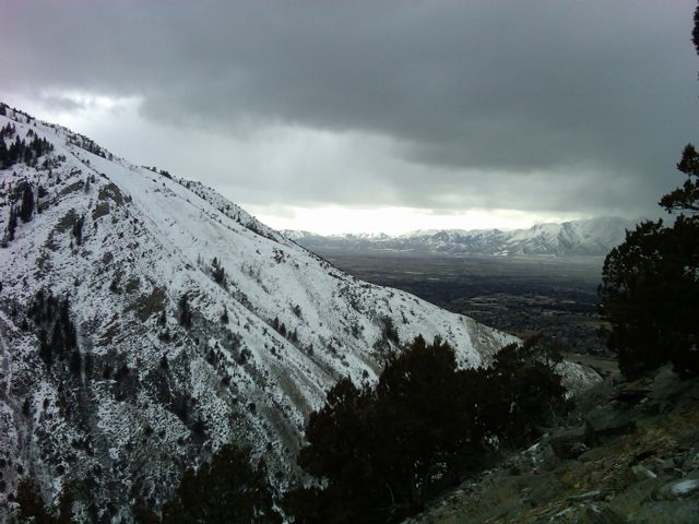 View While Shed Hunting