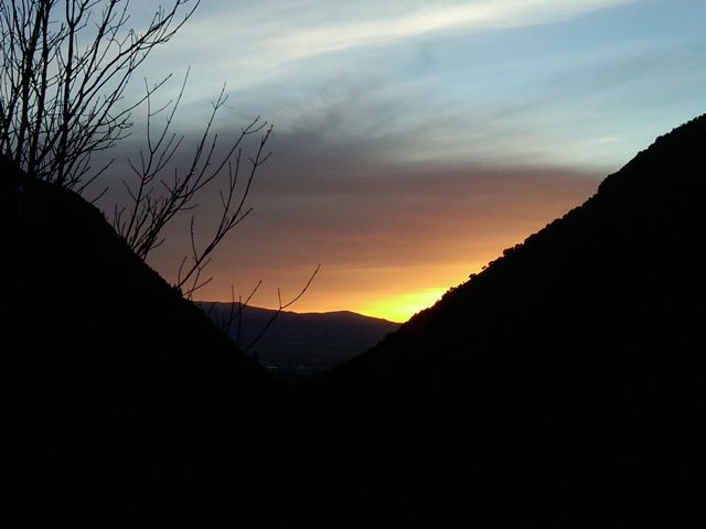 End of Day Shed Hunting