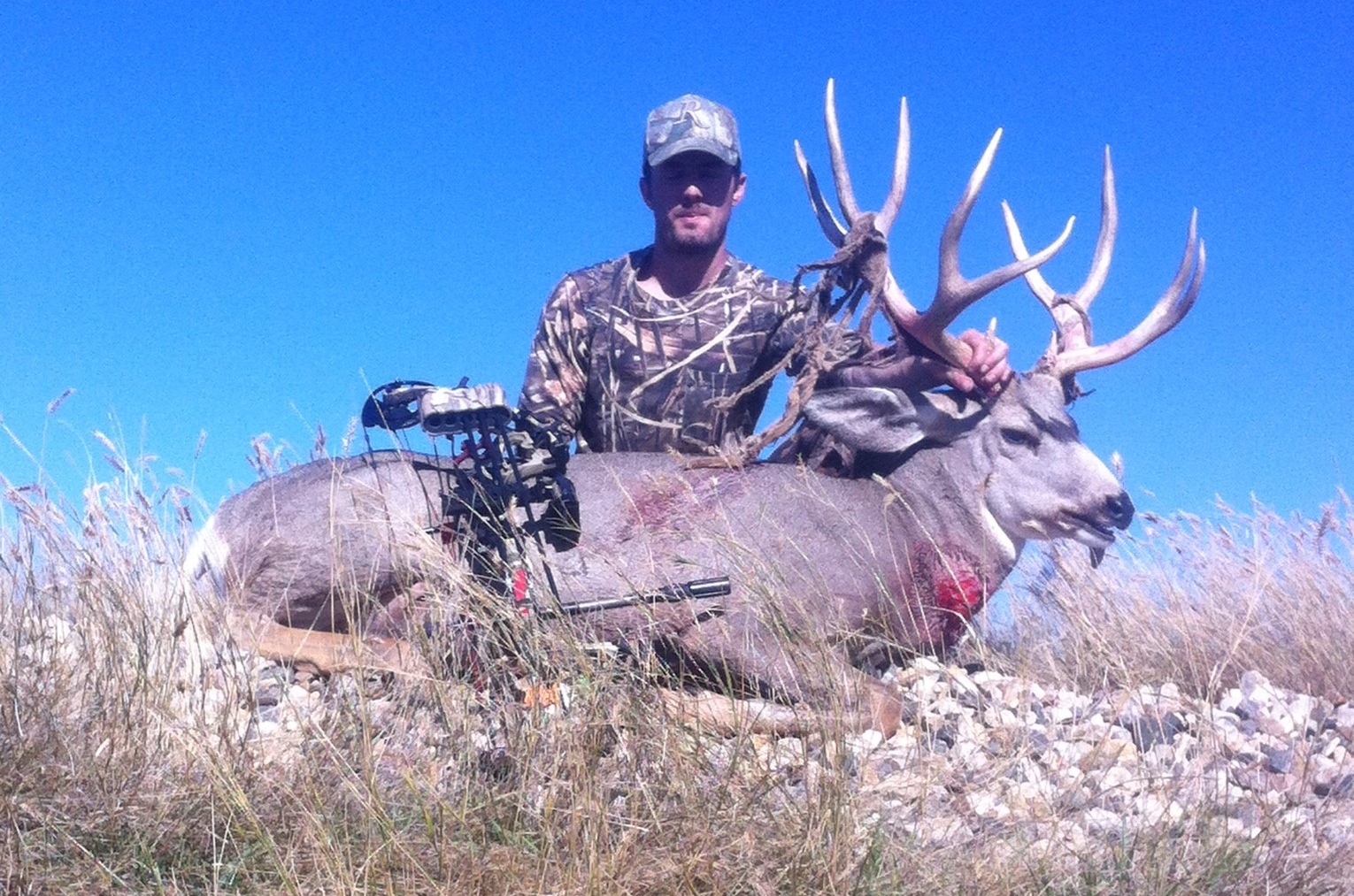 2013 muley