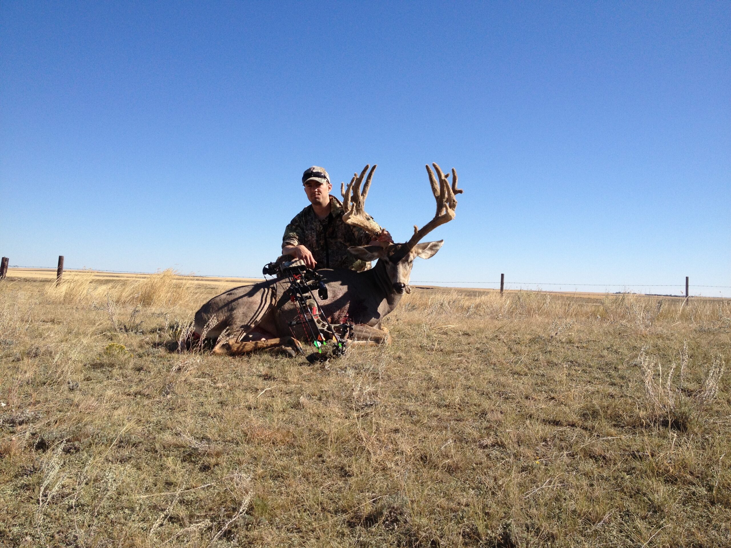 2012 archery muley sk.