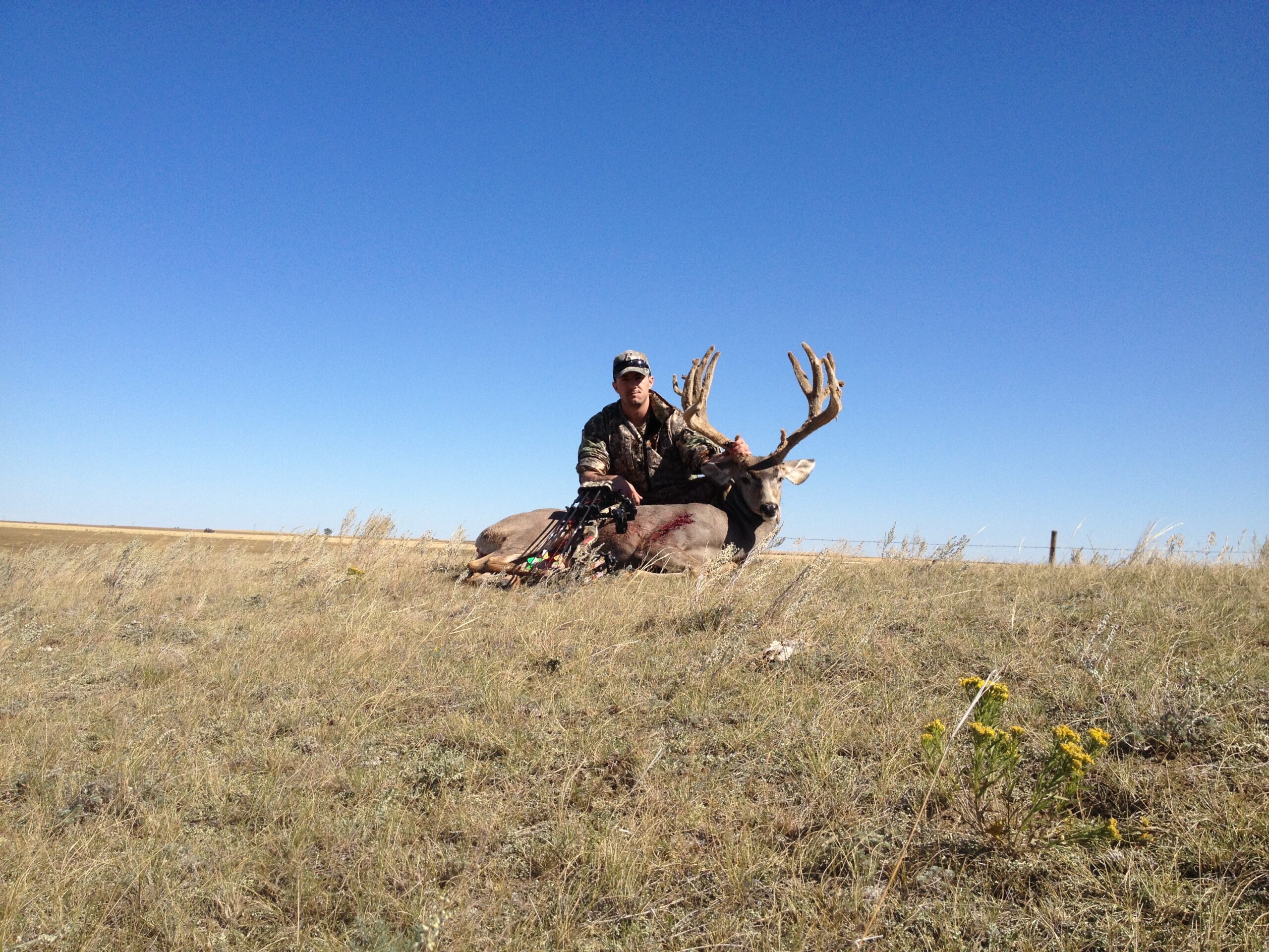 2012 archery muley 