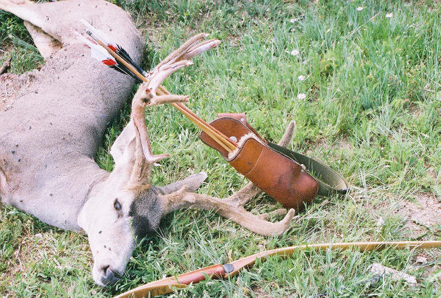 2004 Colorado Mule Deer