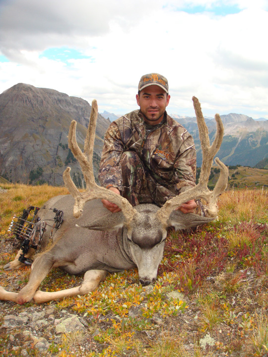 High country archery muley