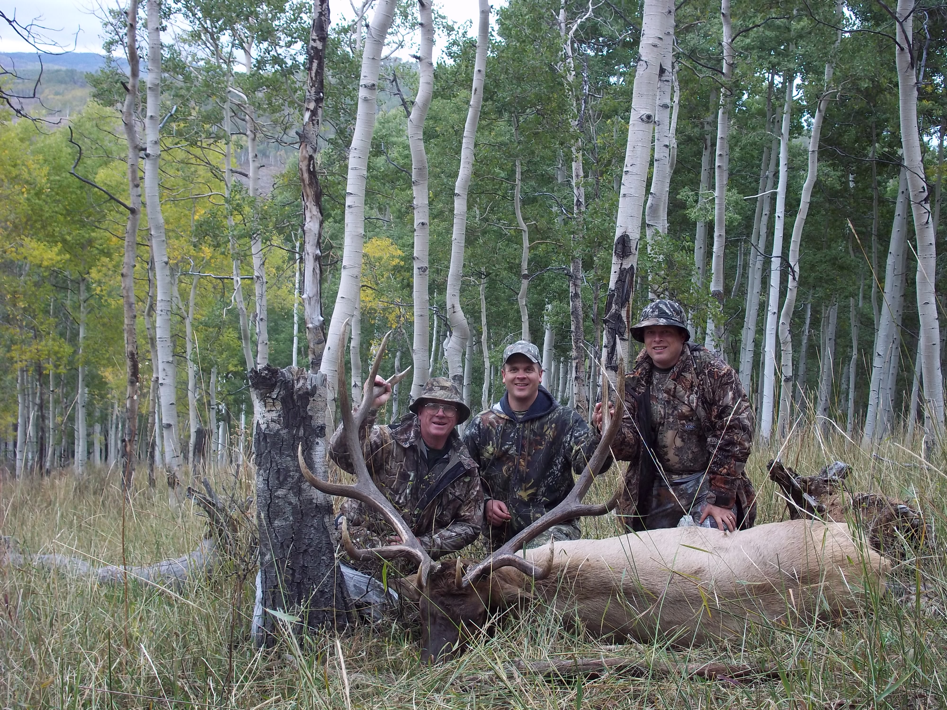 Wasatch LE Muzzloader Elk Hunt