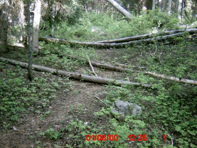 My very first trail cam pic is a MOON!