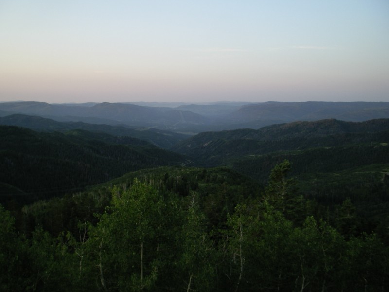 elk country