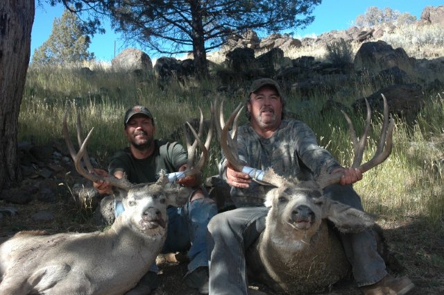 California 2013 doubled up on these nice bucks