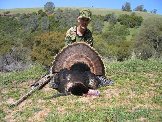 Turkey hunt