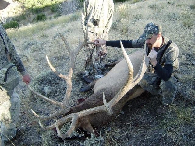 MY Buddy Rick&#039;s Elk