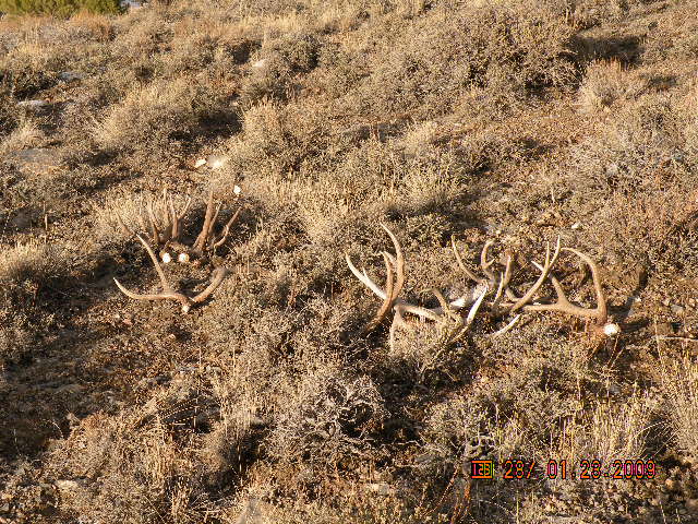had to set them down for a minute hands were getting tired!