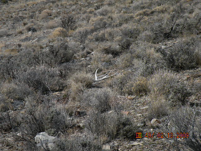 here is the other right side from the year before