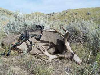 Wyoming Archery Mule Deer