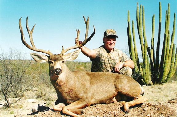 Desert Mule deer hunted in Sonora Mexico