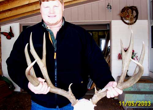 I shot this 5x6 Mule in Northern Colorado.† It has a 28 1/2&amp;quot; spread to the outside of the beams. Dan V.