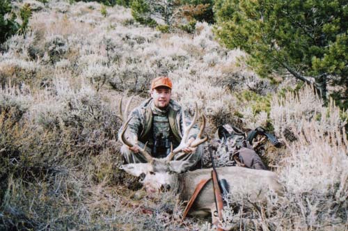 Wyoming Mule Deer - 27&amp;quot; wide outside, and gross&#039; scores 177 2/8