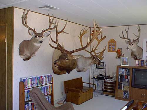 Cole Brown&#039;s Trophy Room