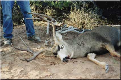 Taken at 400 yds. and is 24&amp;quot; wide.