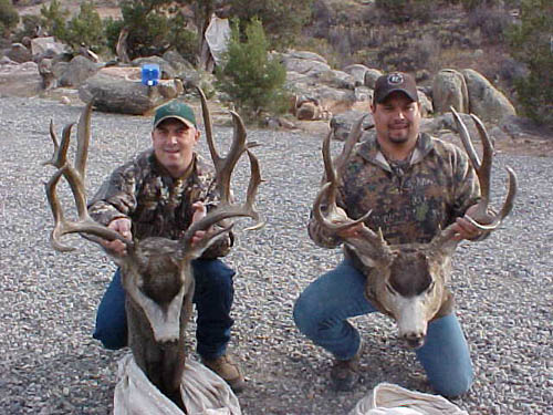 Colorado 2002 Bucks!
Check our stories page to see the story on these two monsters.

