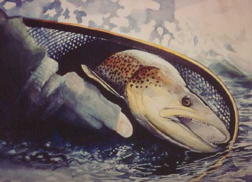 Brown Trout painting.