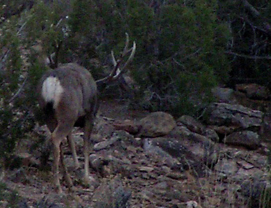 Lynn/BJ - Southeastern Utah