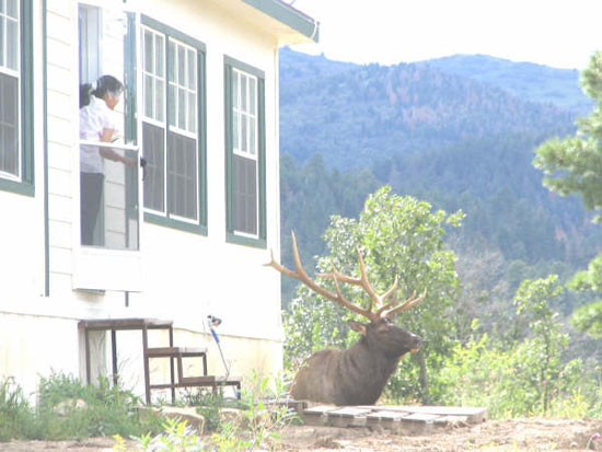 Tyner Cervantes - Mescalero Apache Reservation, New Mexico.