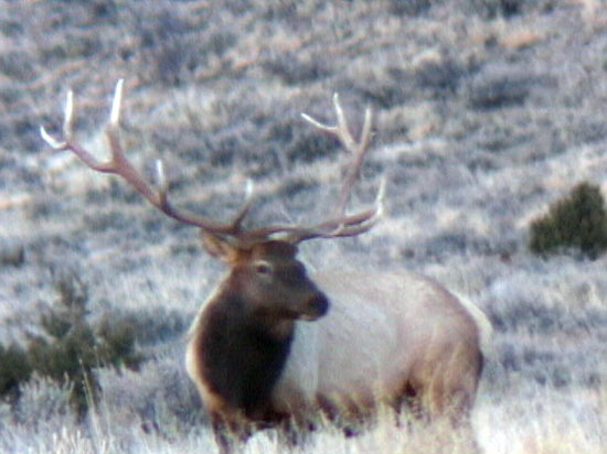 Darren Holden - Central Utah