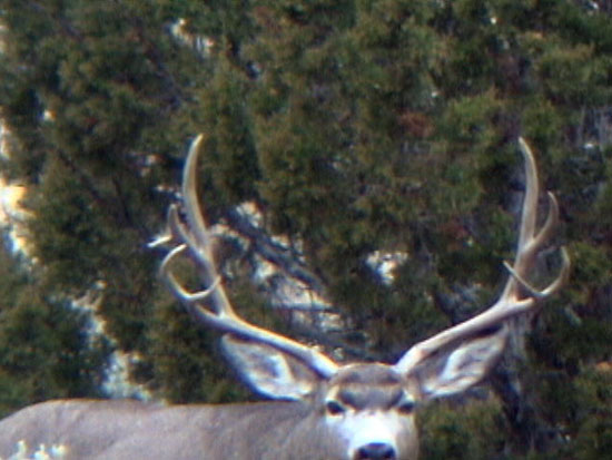 Darren Holden - Central Utah