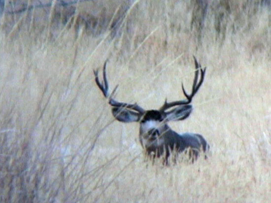 Darren Holden - Central Utah