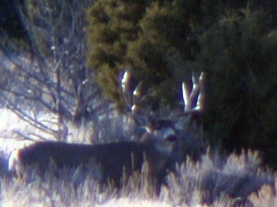 Darren Holden - Central Utah