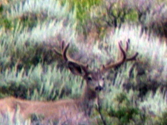 Darren Holden - Central Utah