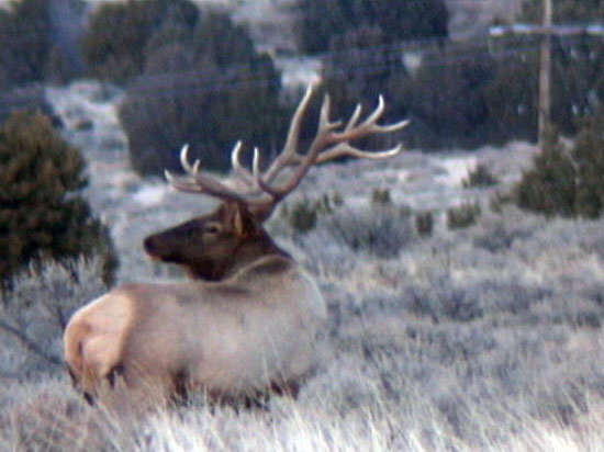 Darren Holden - Central Utah