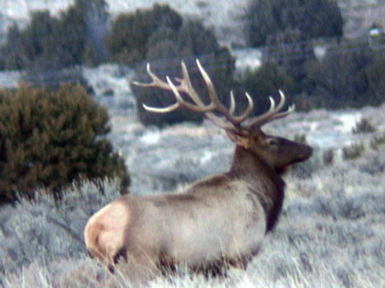 Darren Holden - Central Utah