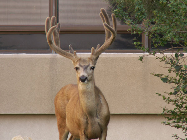 David Doporto Jr. - Rock springs Wy.