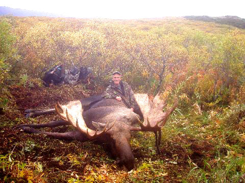 70&amp;quot; Moose - Alaska