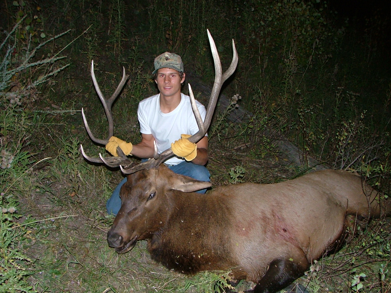 First Elk