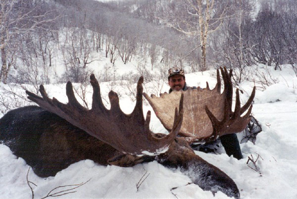 Russian Moose