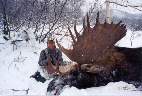 Russian Moose