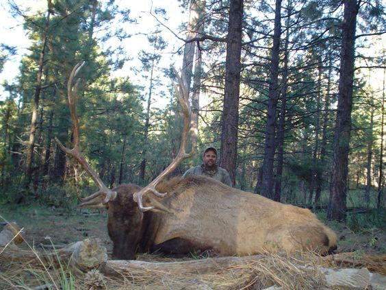 Steve Presnal - 2004 Arizona Archery Elk, 6x6 scored 360 P&amp;amp;Y